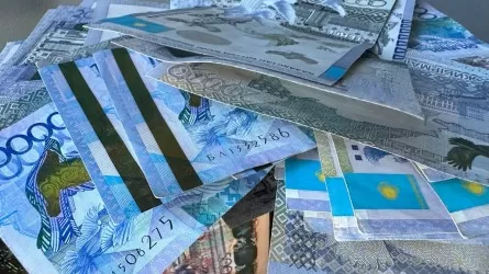Сотни миллионов тенге заставили выплатить в Павлодаре крупного налогоплательщика