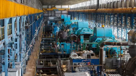 Турки намерены построить несколько крупных заводов в Жамбылской области