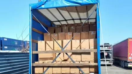 Задержана крупная партия оборудования для майнинга на границе Костанайской области и РФ 