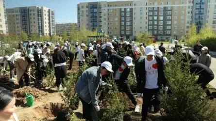 Экологический челлендж: Казахстан озеленяли выпускники всей республики 